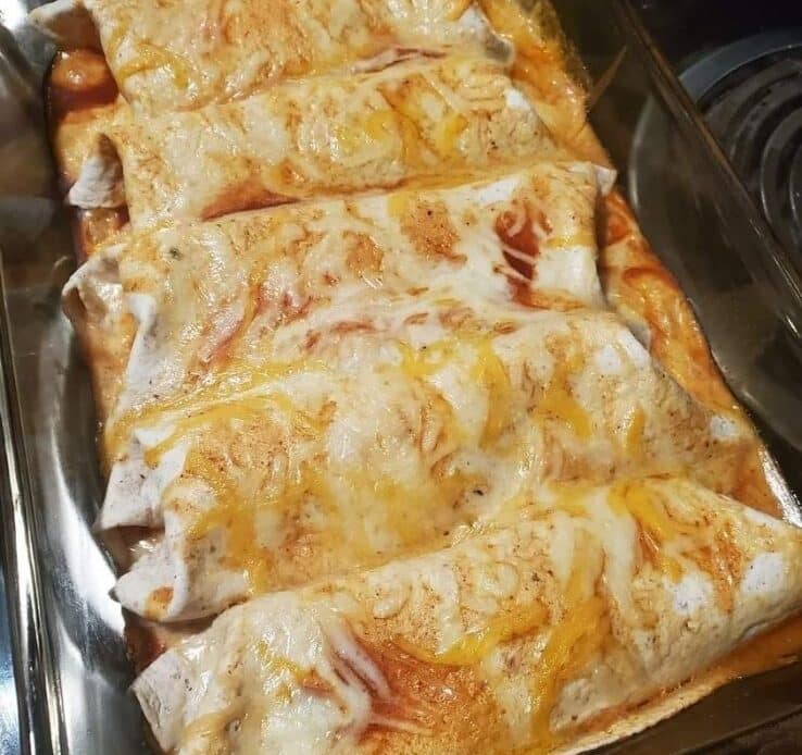 Cream Cheese Chicken Enchiladas